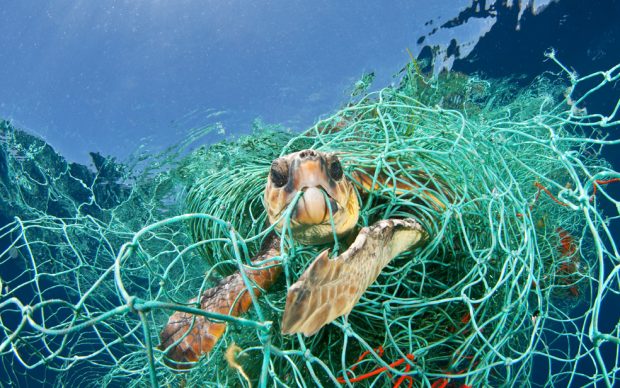 Una tartaruga Caretta caretta intrappolata in una rete da pesca abbandonata alla deriva, Mar Mediterraneo, 2010 © Jordi Chias / Nature Picture Library
