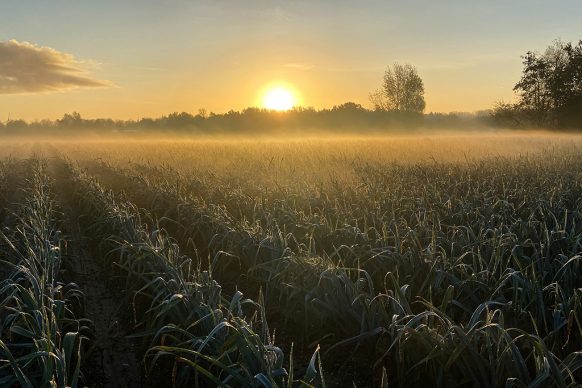 GROW. Photo credits Daan Roosegaarde