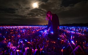 GROW. Photo credits Daan Roosegaarde