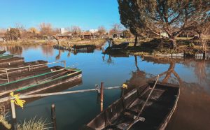 Jardins Des Marais De Bourges, Bourges, France. Photo by Sigmund on Unsplash