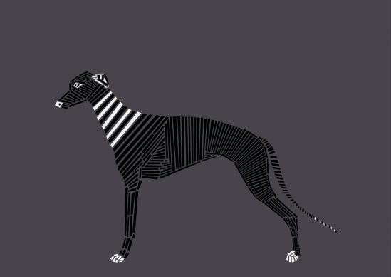 Una illustrazione di Naomi Turco tratta dal libro Fifty dogs with graphic lines, pubblicato da Ost-design, 2020