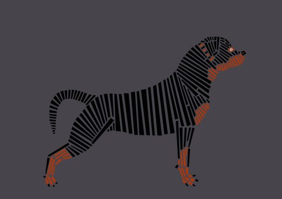 Una illustrazione di Naomi Turco tratta dal libro Fifty dogs with graphic lines, pubblicato da Ost-design, 2020