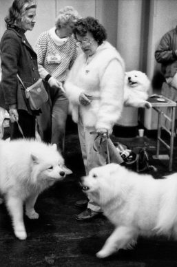 Perth, Australia, 2000. © Elliott Erwitt / Magnum Photos/ Contrasto