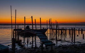 Delta del Po, Porto Tolle, Provincia di Rovigo. Photo by Sz. Marton on Unsplash