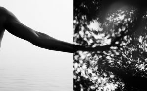 Diptych 116, 2016, 2016. Credits David Jiménez, courtesy VEGAP