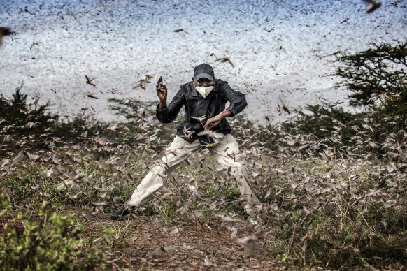 World Press Photo of the Year, nominee: Fighting Locust Invasion in East Africa © Luis Tato, Spain, for The Washington Post