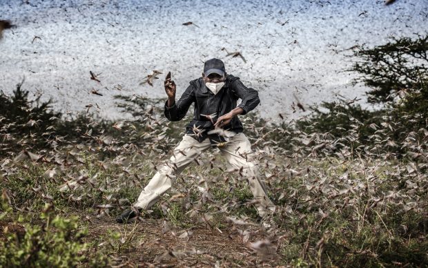 World Press Photo of the Year, nominee: Fighting Locust Invasion in East Africa © Luis Tato, Spain, for The Washington Post © Luis Tato, Spain, for The Washington Post