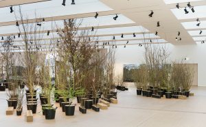 Installazione Foresta M9. Photo Alessandro Scarpa