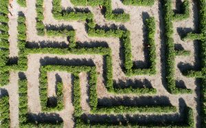 Labirinto Sonoro - Alfio Garozzo. Radicepura Garden Festival 2019