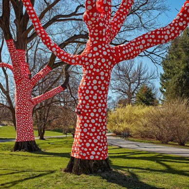 Ascension of Polka Dots on the Trees, 2002/2021, The New York Botanical Garden, Printed polyester fabric, bungees, and aluminum staples installed on existing trees, Site-specific installation, dimensions variable, Collection of the artist. Photo by Robert Benson Photography