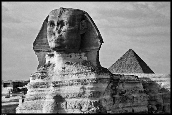 Sfinge, necropoli di Giza, 1980 © Elio Ciol