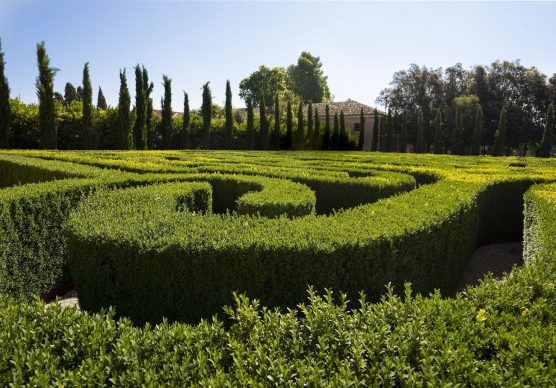 Labirinto Borges. Photo Matteo De Fina, Courtesy of Fondazione Cini